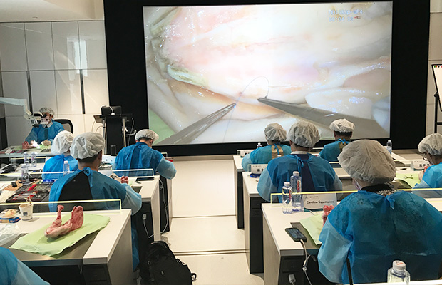 ニューヨーク大学 技術指導